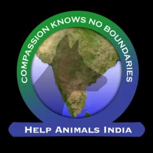 help animals india